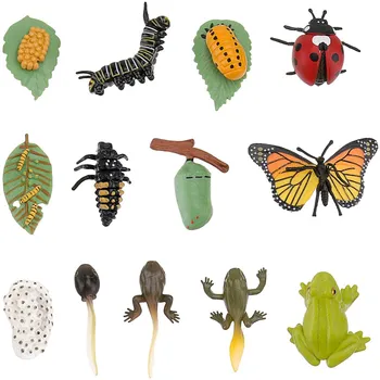 3 Комплекта Фигурок насекомых Life of Butterfly Safariology Модель Роста Обучающая Игрушка