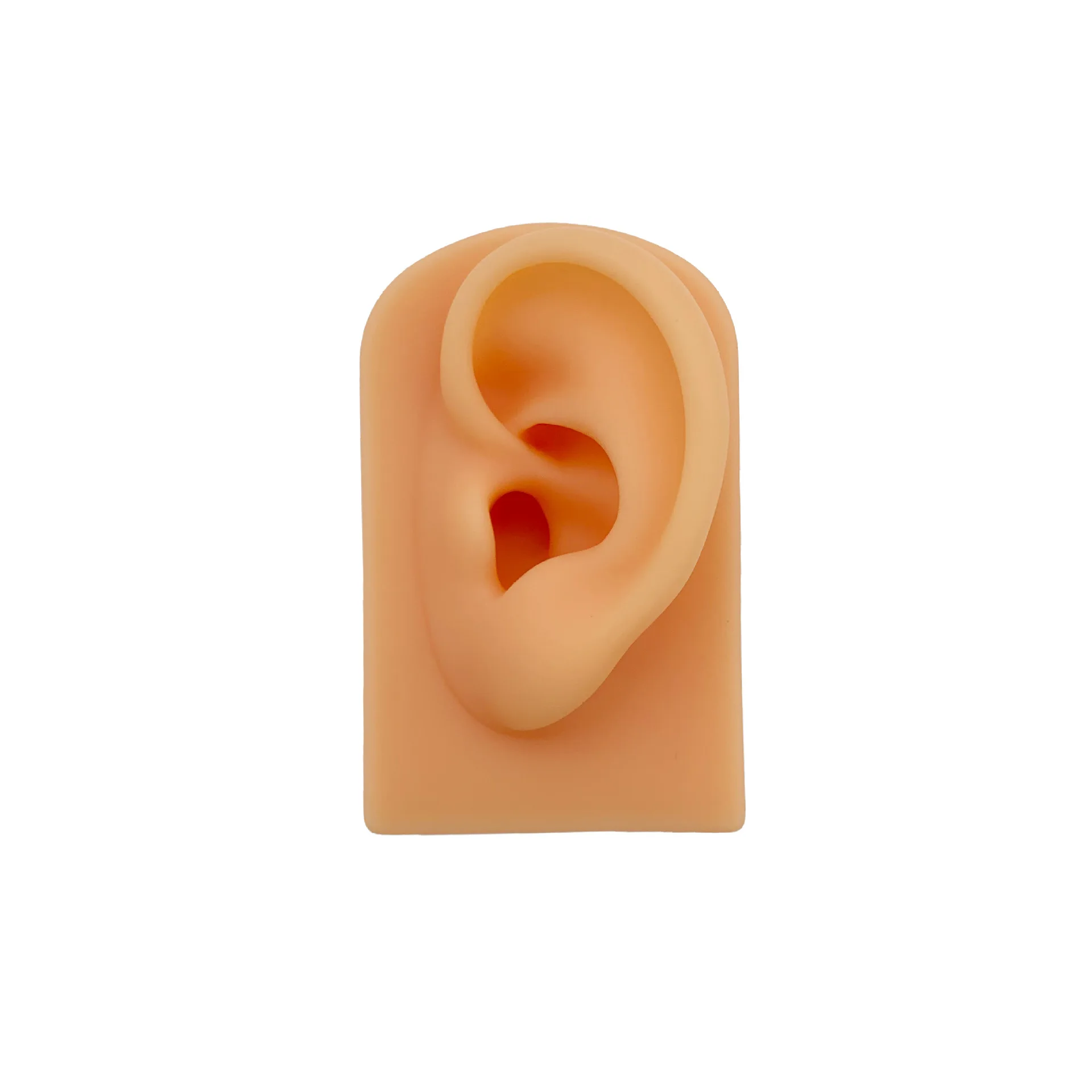 Реквизит для подбора ушей Предмет для показа упражнений Силиконовая имитация уха Модель уха Перевернутая модель Реквизита Для отображения акупунктурных точек уха Изображение 4